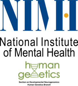 National Institute of Mental Health - Section on Developmental Neurogenomics - Human Genetics Branch